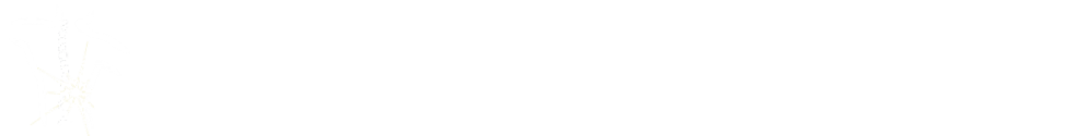 Northeast Pain Management